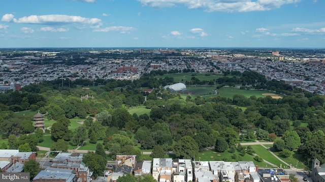 bird's eye view