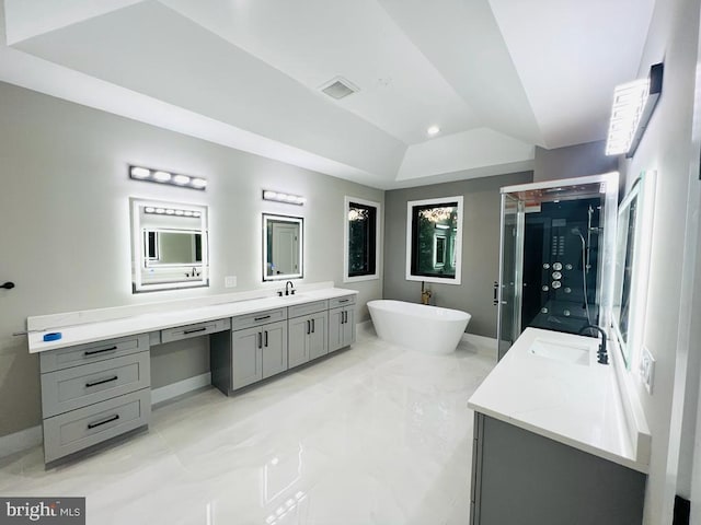 bathroom featuring visible vents, a sink, a tray ceiling, a freestanding bath, and two vanities