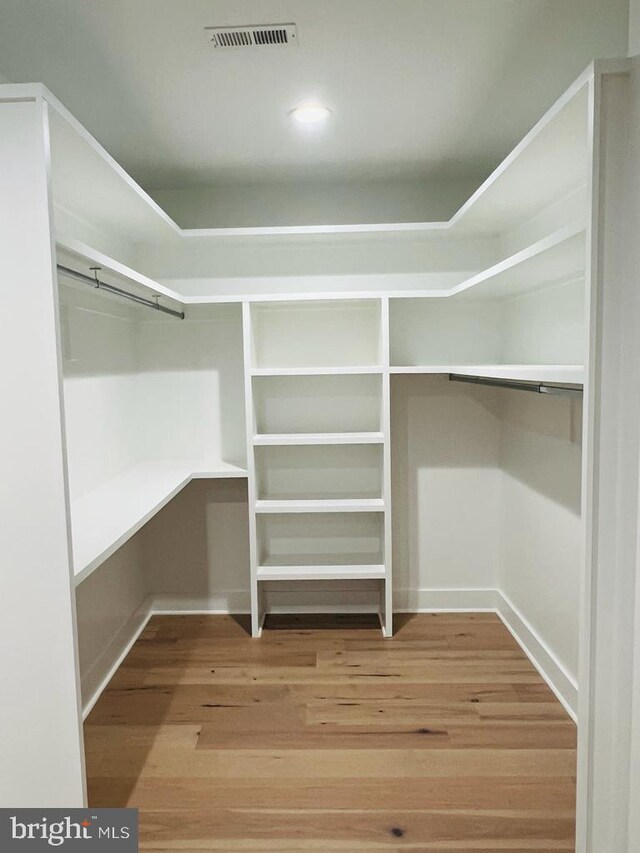 spacious closet featuring wood-type flooring