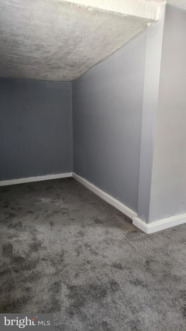 empty room featuring a textured ceiling and carpet flooring