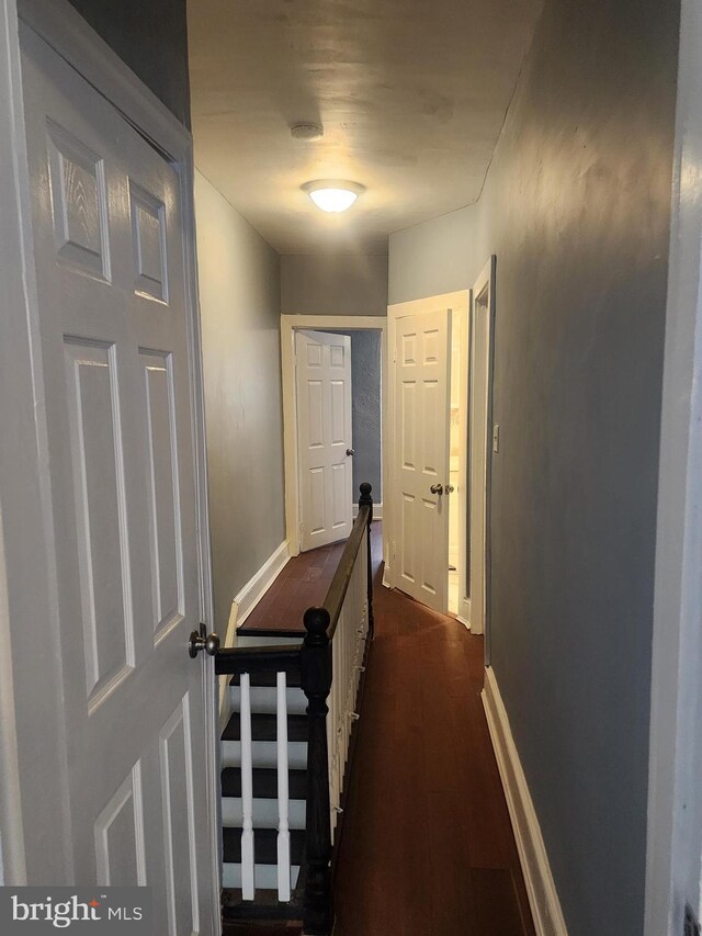 hallway with dark wood-type flooring