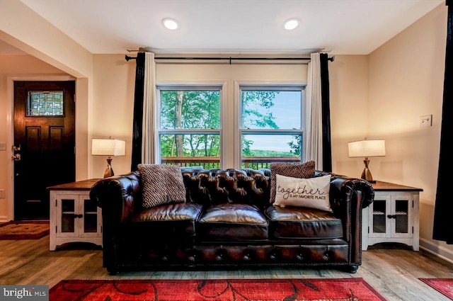 living room with hardwood / wood-style floors