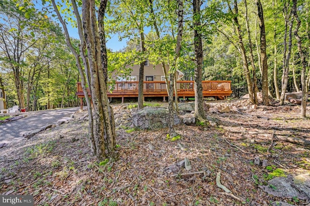 view of yard with a deck