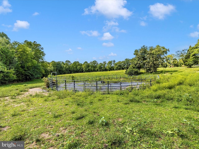 view of yard with a rural view