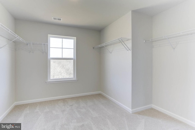 spacious closet featuring light carpet