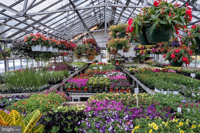 surrounding community featuring a vegetable garden