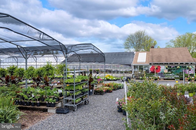 exterior space featuring a vegetable garden