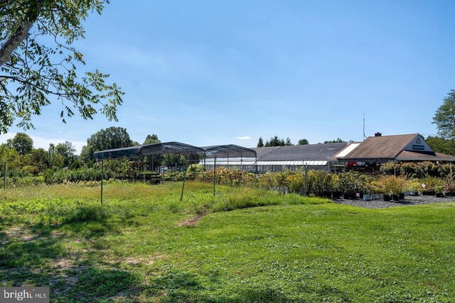 view of yard featuring a carport