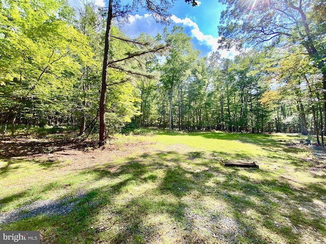 view of yard featuring a wooded view