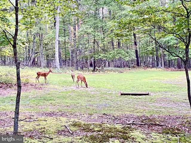 view of property's community with a yard