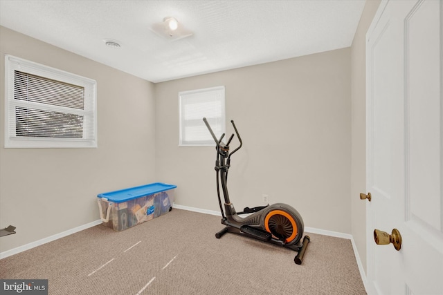 workout area with carpet flooring