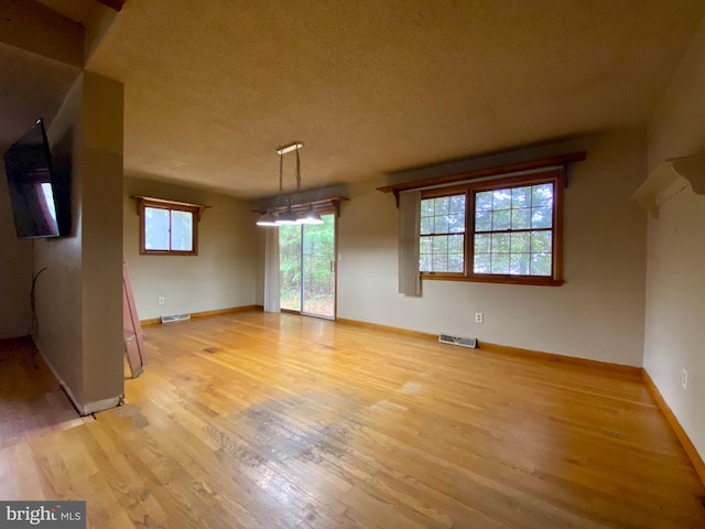 interior space featuring a textured ceiling, light hardwood / wood-style floors, and a healthy amount of sunlight