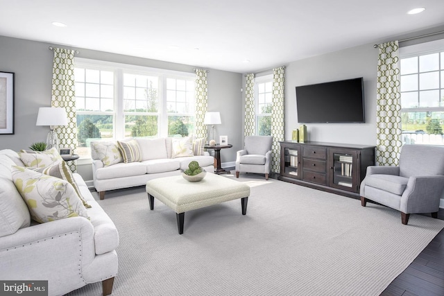 living room with a healthy amount of sunlight and hardwood / wood-style flooring