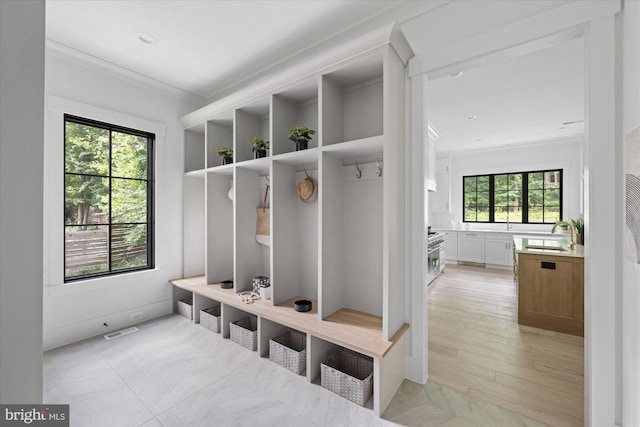 mudroom featuring light hardwood / wood-style floors, a wealth of natural light, sink, and crown molding