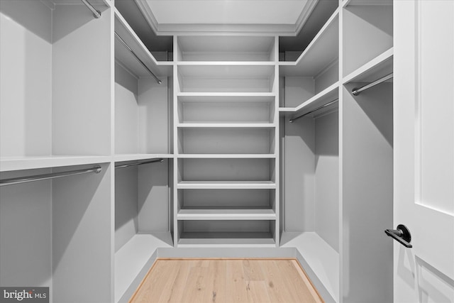 walk in closet featuring light wood-type flooring