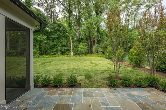 view of yard featuring a patio area