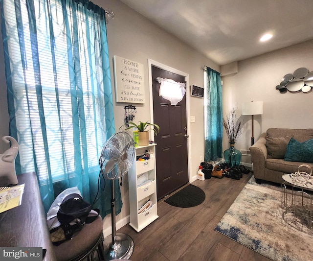 entryway with a wealth of natural light and dark hardwood / wood-style floors