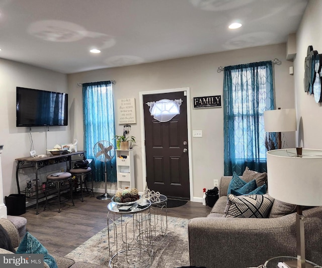 living room with hardwood / wood-style flooring