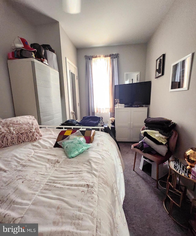 bedroom with carpet floors