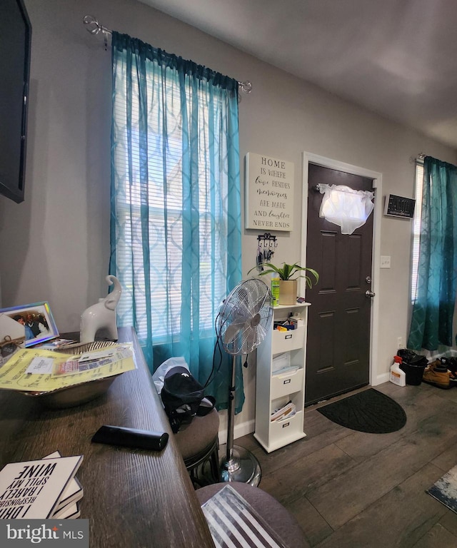 foyer entrance with a wealth of natural light and wood-type flooring