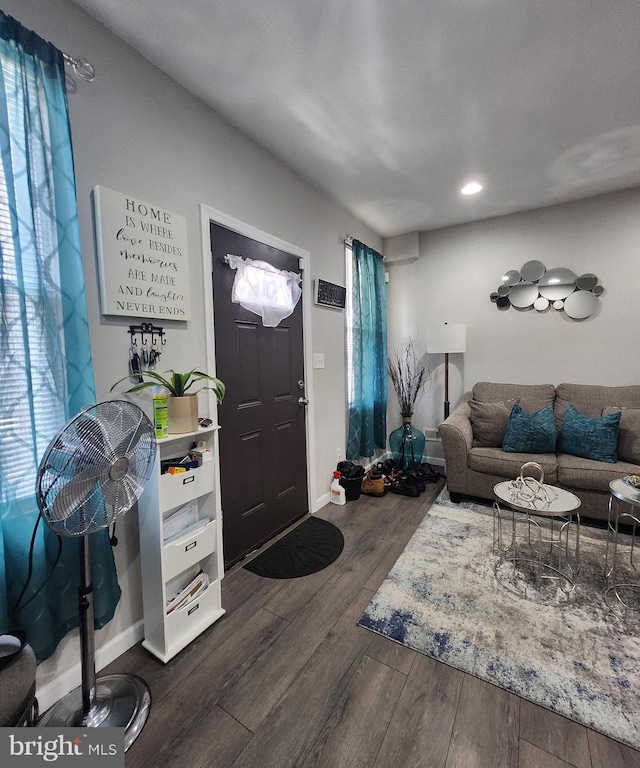 foyer with dark hardwood / wood-style flooring