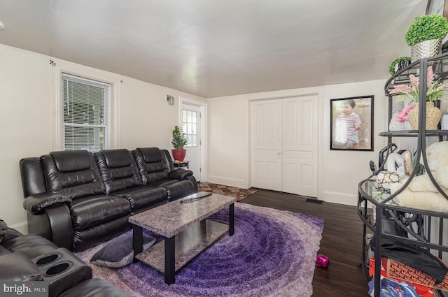 living room with wood-type flooring