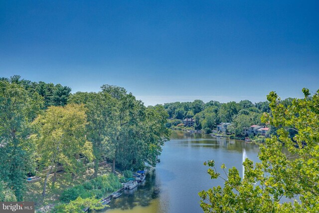 property view of water