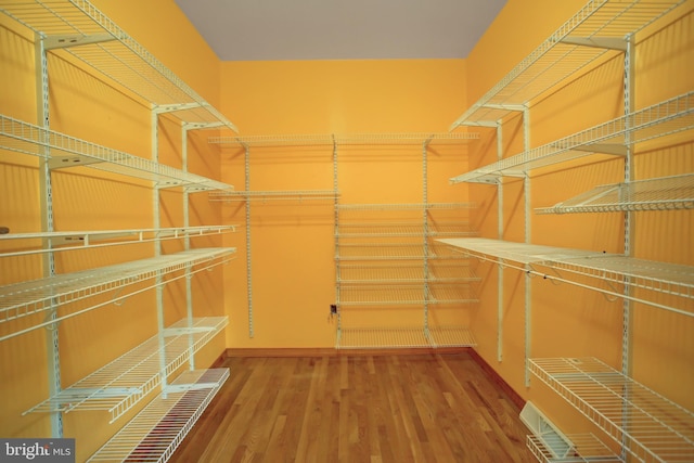 spacious closet featuring wood-type flooring