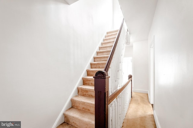 staircase with carpet flooring