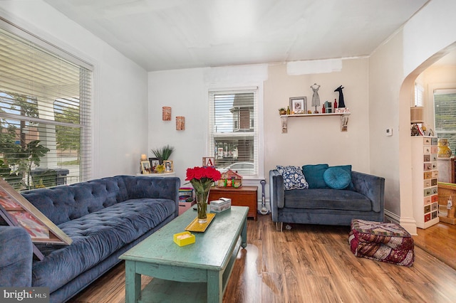 living room featuring hardwood / wood-style floors