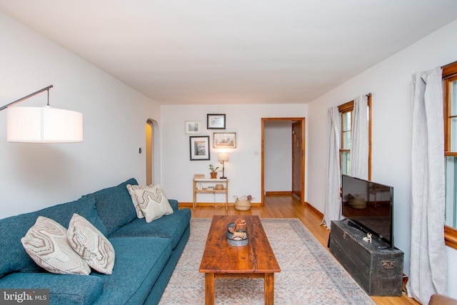 living room with hardwood / wood-style floors