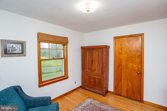 sitting room with light wood-type flooring