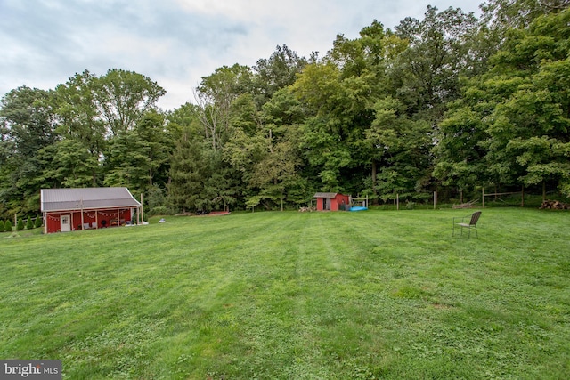 view of yard featuring a shed