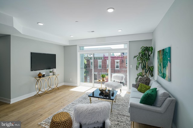 living room featuring light hardwood / wood-style floors