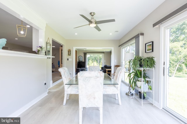 dining room featuring ceiling fan, a healthy amount of sunlight, and light wood-type flooring