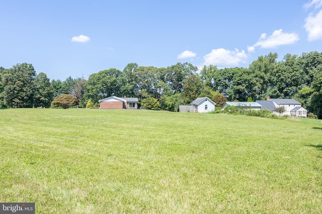 view of yard with a rural view