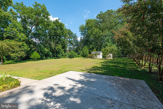 view of yard featuring a patio area