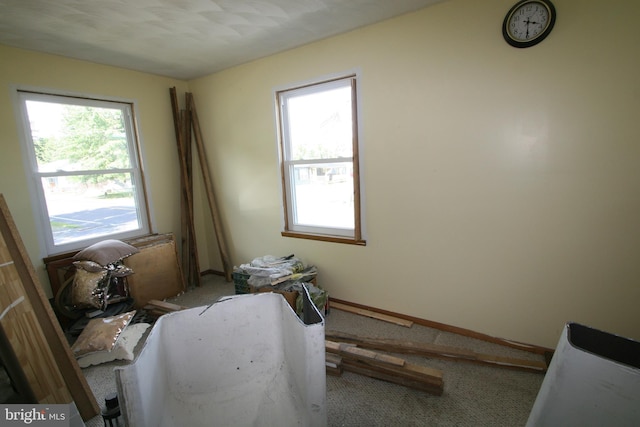 interior space with baseboards and light colored carpet