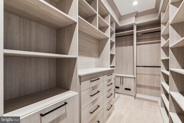 walk in closet with light hardwood / wood-style flooring