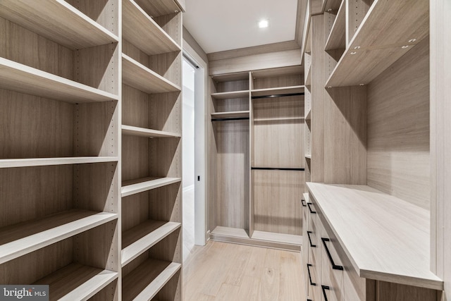 walk in closet featuring light hardwood / wood-style flooring