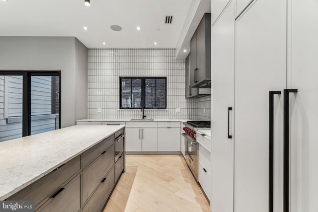 kitchen featuring white cabinets, backsplash, light hardwood / wood-style flooring, high quality appliances, and sink