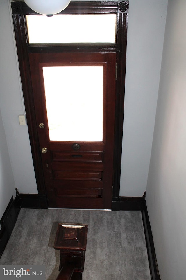 entryway with plenty of natural light and hardwood / wood-style flooring