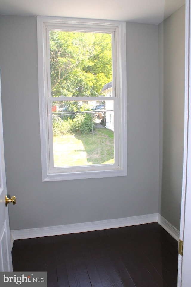 empty room featuring a wealth of natural light, baseboards, and wood finished floors