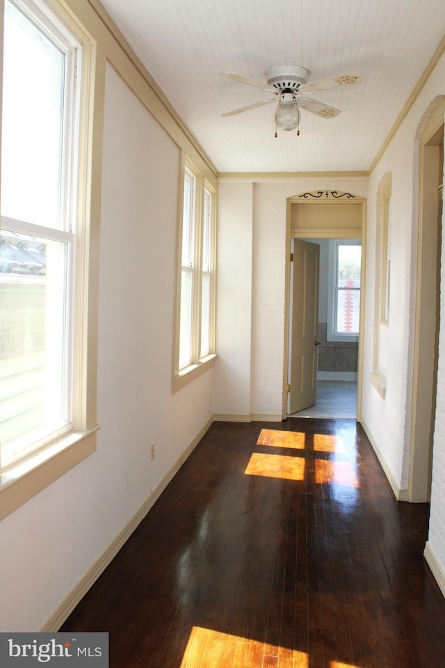 spare room with ceiling fan, dark wood-type flooring, crown molding, and baseboards