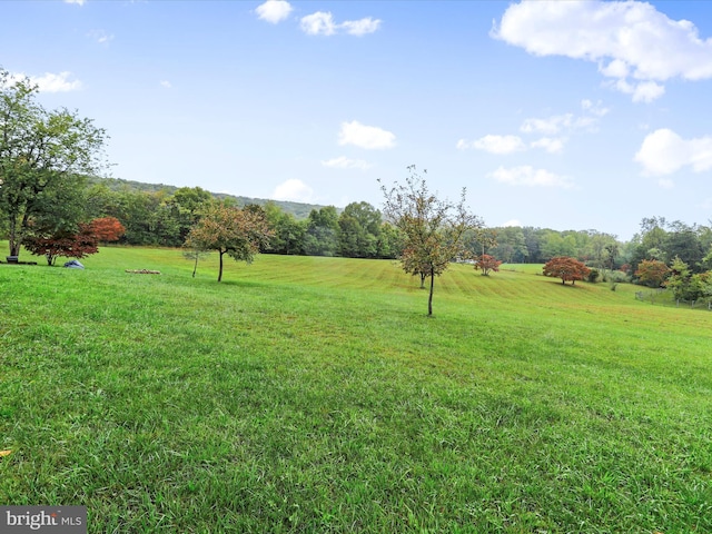 view of yard featuring a rural view