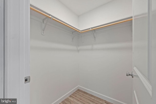 spacious closet featuring wood-type flooring