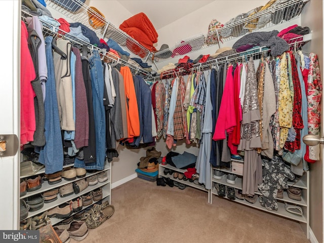 walk in closet with carpet floors