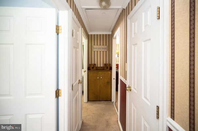 corridor with crown molding and light carpet