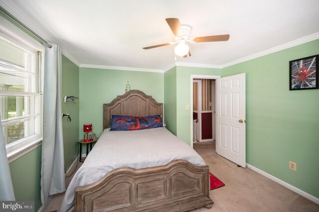 carpeted bedroom with ceiling fan and crown molding