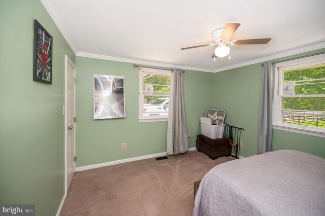 bedroom with ceiling fan, carpet flooring, ornamental molding, and multiple windows